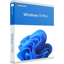 WINDOWS-11 PRO 64 BIT PRO MICROSOFT (ORG)
